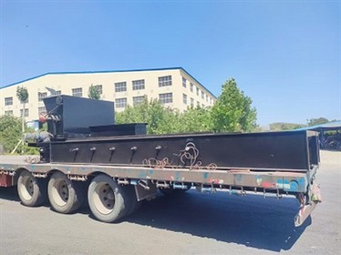 A 4-ton Chain Grate Exported To Vietnam